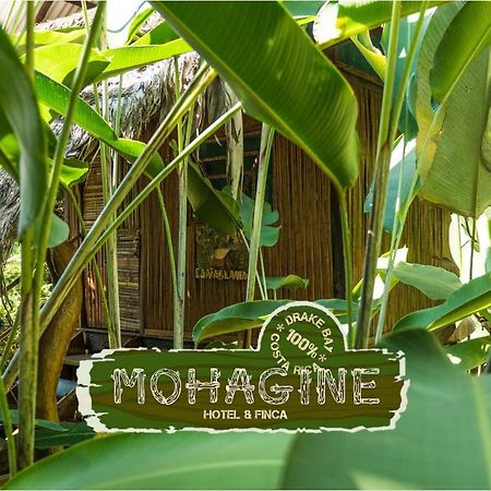 Mohagine Hotel Drakes Bay Exterior foto